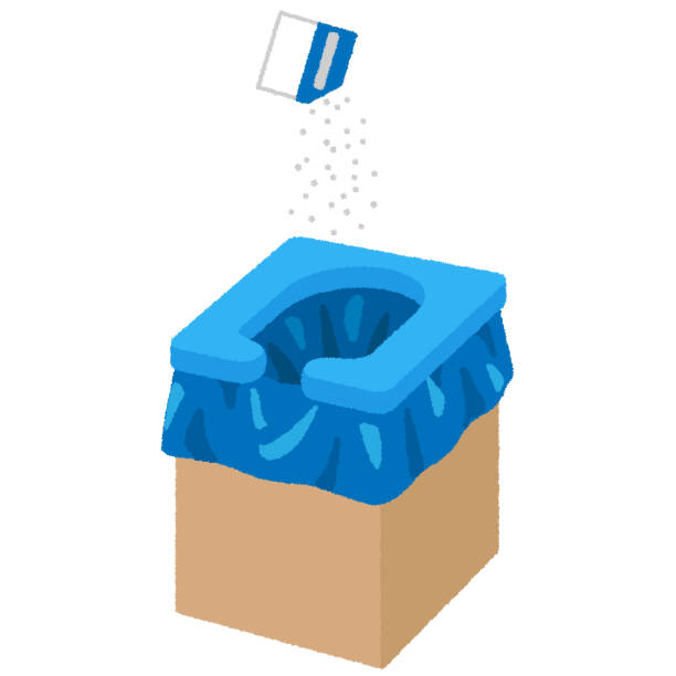 Portable Toilet Options We Offer in San Benito, TX